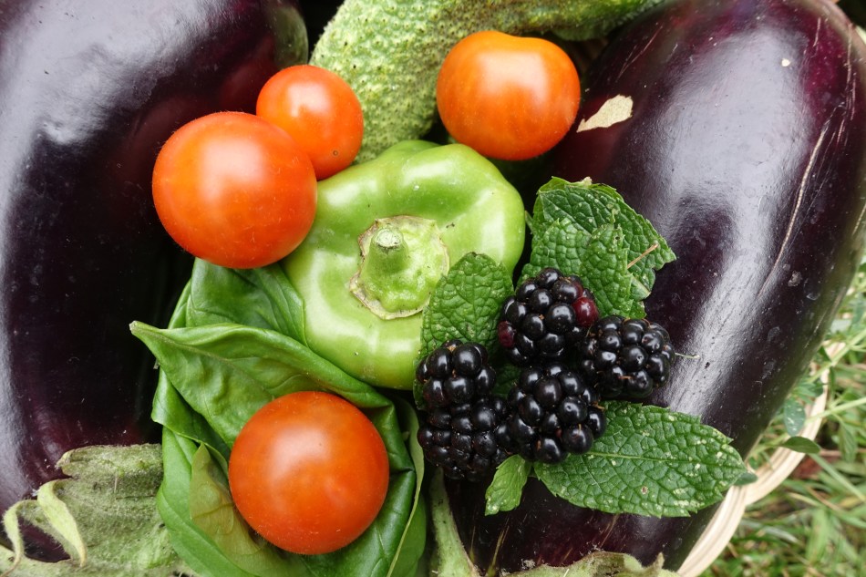Fruits and vegetables right after harvest